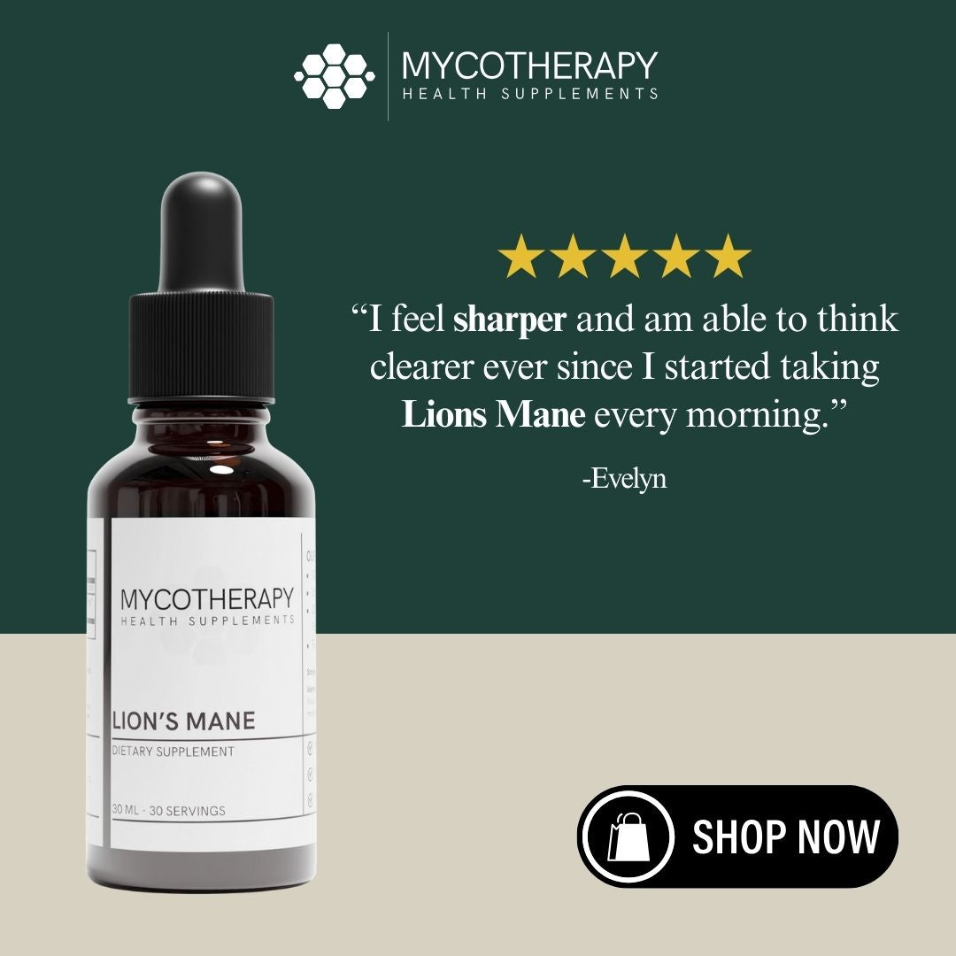 All-Day Clarity, Mental Focus and Energy | Organic Lion&