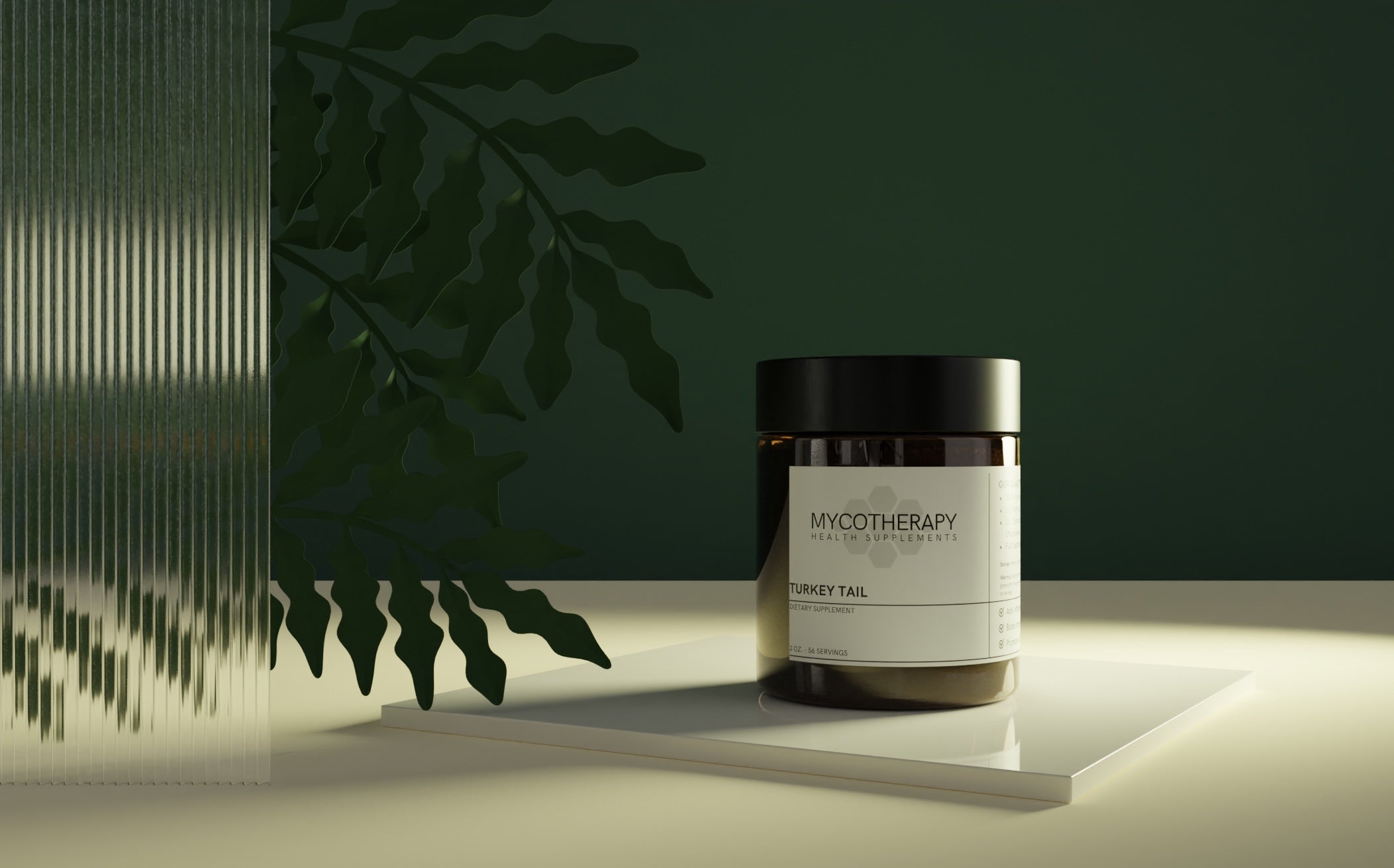 Turkey Tail Extract Powder