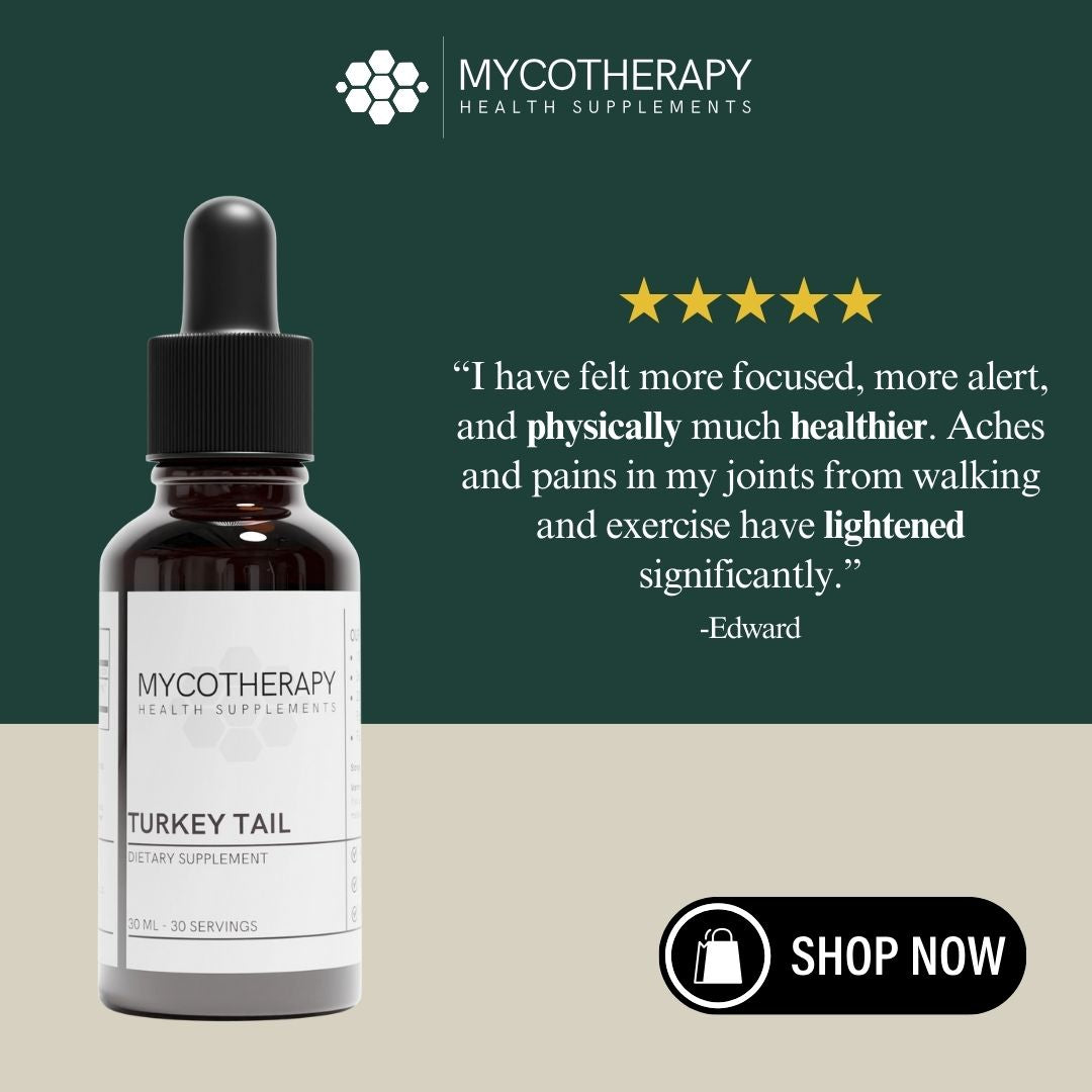 Anti-Inflammation and Gut Health Support | Organic Turkey Tail Liquid Extract