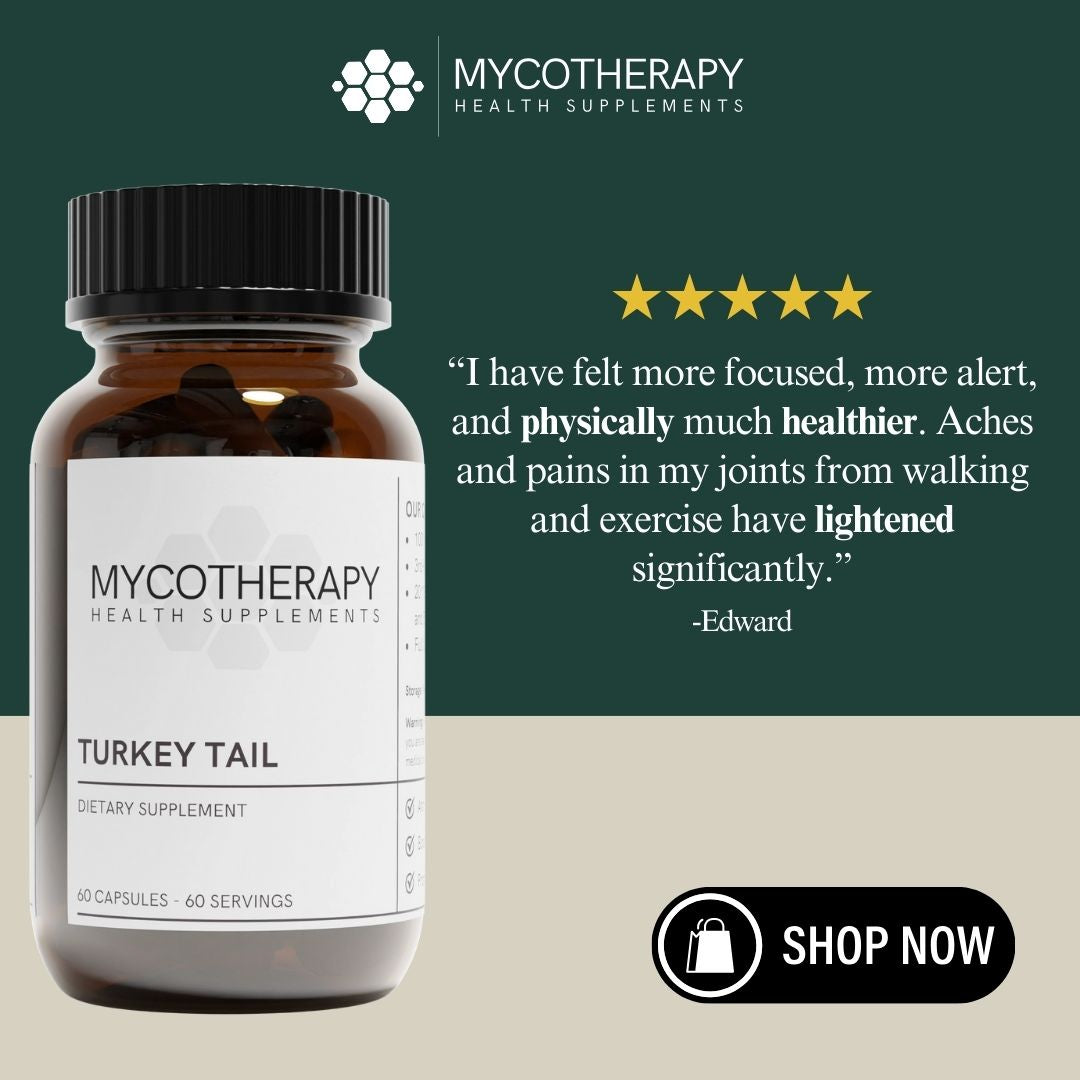 Turkey Tail Extract Capsules | Your Daily Gut Health Support and Anti-Inflammation | Organic and USA-Grown